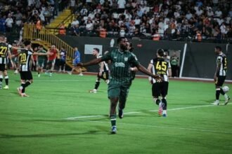 IHEANACHO