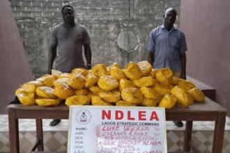 NDLEA