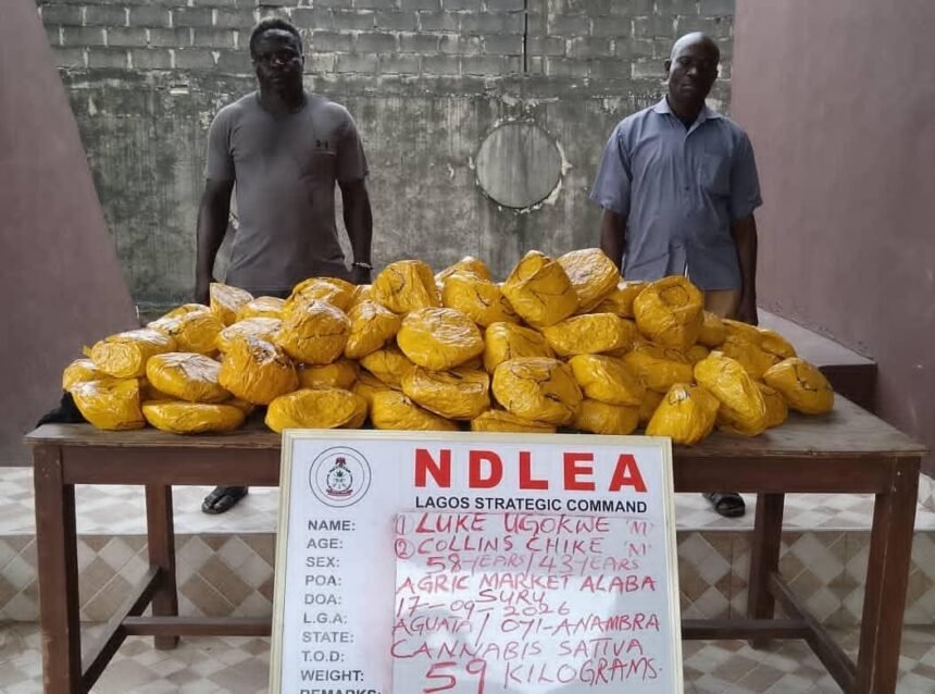 NDLEA