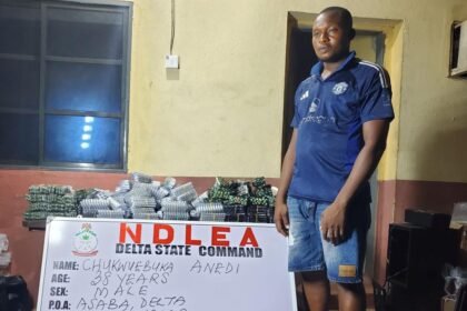 NDLEA