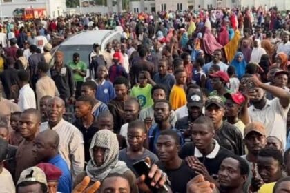 NIGER YOUTHS