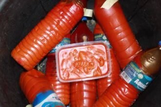 PALM OIL