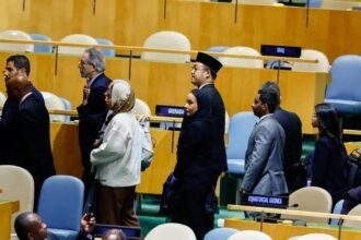 UN DELEGATES