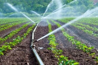 DRY SEASON FARMING