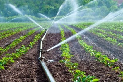 DRY SEASON FARMING