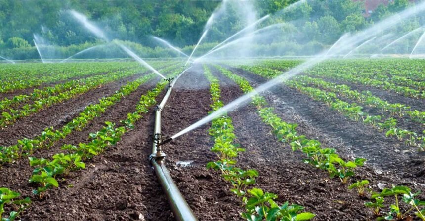 DRY SEASON FARMING