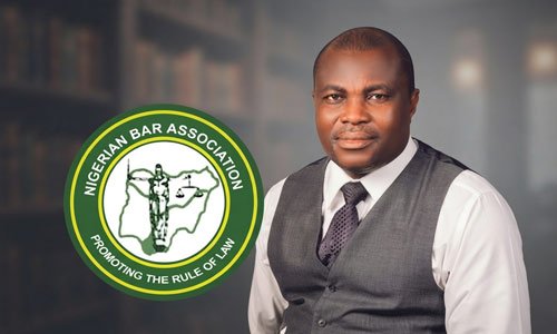 IMO NBA CHAIR