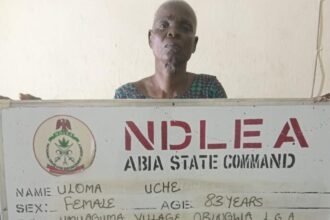 NDLEA