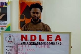 NDLEA