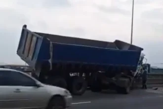 TIPPER DANGLES