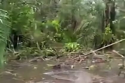 SCENE OF THE CRASH